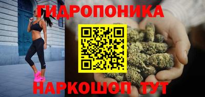 шишки Бузулук